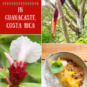 Top Ten Treats in Guanacaste, Costa Rica - Jolly Tomato