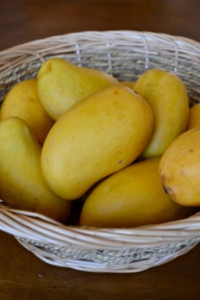 Ataulfo mangos