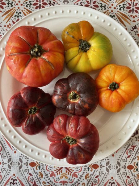 Plate of heirloom tomatoes