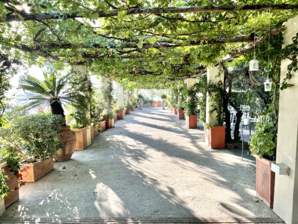 Terraced gardens at Hotel San Francesco al Monte