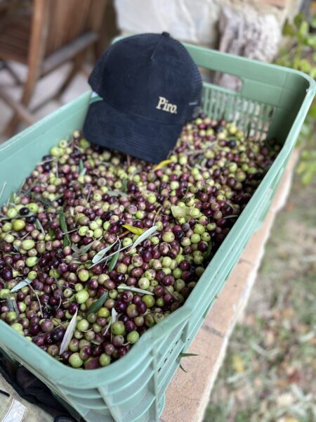 Crate of olives with Piro baseball cap on top.