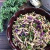 Healthy Spaetzle Recipe with Purple Cabbage and Kale Healthy Spaetzle
