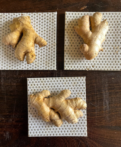 Three knobs of fresh ginger on a table.
