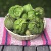 Tomatillos 101 tomatillos