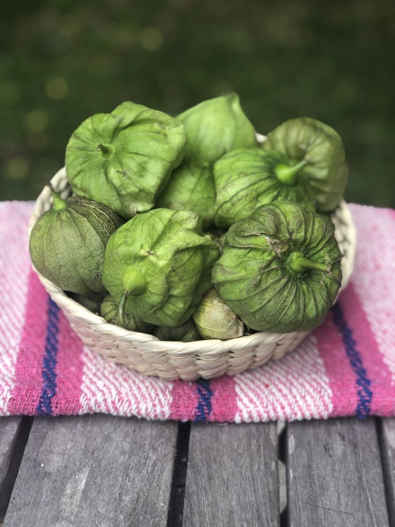 Tomatillos 101 All About Them, How To Use Them Jolly Tomato