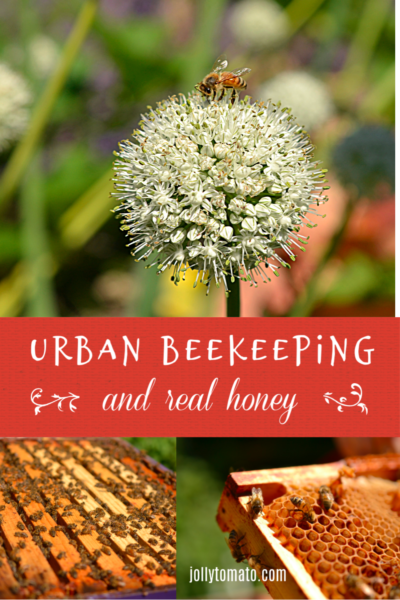 Urban Beekeeping and Real Honey