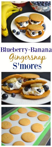 Blueberry Banana Gingersnap S'mores