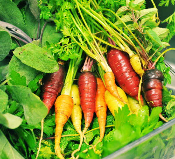 Carrots, via Home Grown Edible Landscapes