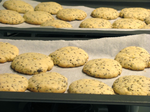 Chia Crunch Cookie Recipe