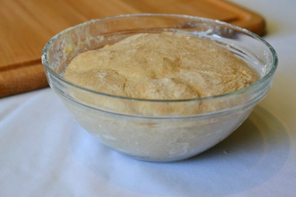 sourdough dough in bowl