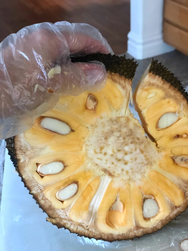 How To Cut Jackfruit and How To Eat It Jolly Tomato