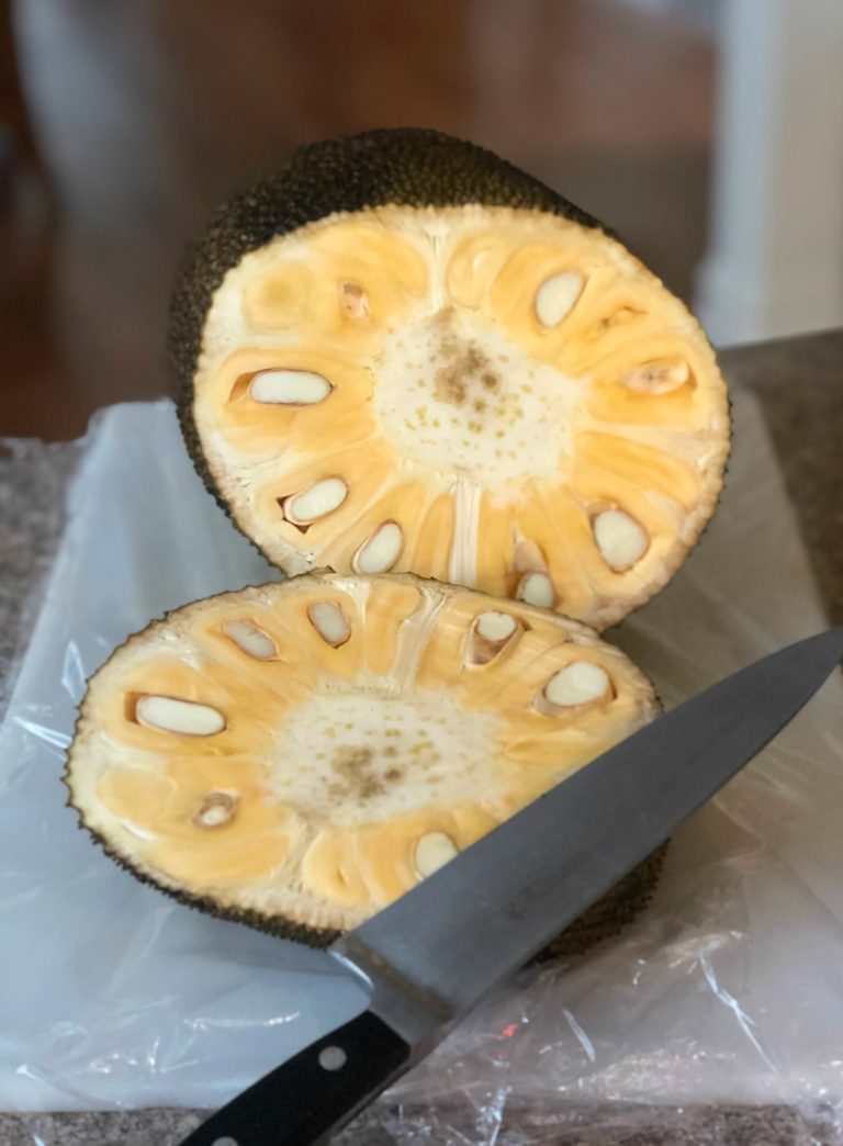 How To Cut Jackfruit and How To Eat It Jolly Tomato
