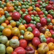 Food News Wrap: Aug. 19 manytomatoes