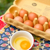 natures yoke eggs