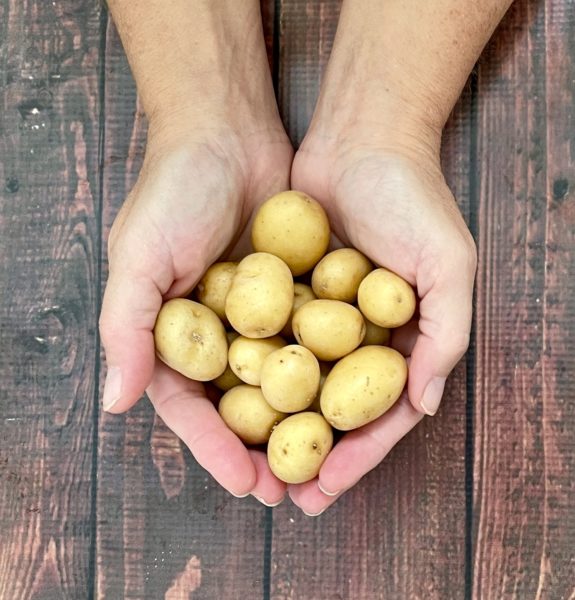 handful of peewee potatoes