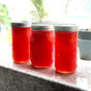 Rhubarb-Peach Jam Recipe Rhubarb Peach Jam