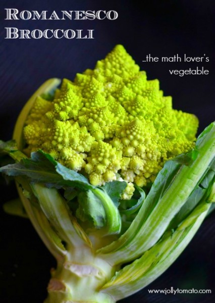 Romanesco broccoli - the math lover's vegetable.