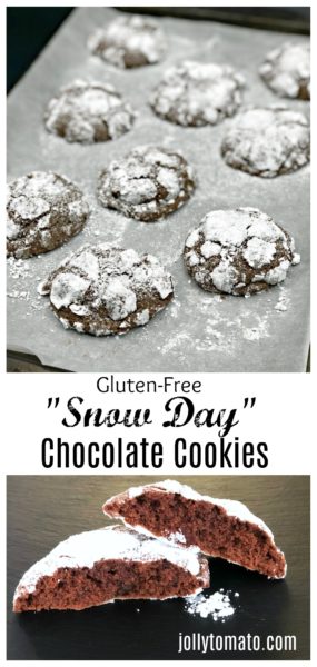 Gluten-Free "Snow Day" Chocolate Cookies